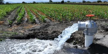 utilización racional del agua