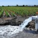 agua riego agrícola