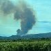 incendio forestal de Alfarp