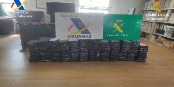 117 kilos de cocaína ocultos en un contenedor de fruta en el puerto de Valencia