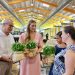 Visita de Santiago Ballester y las Falleras Mayores de Valencia a los campos de clavelones en Alboraya