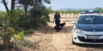 Rescate de dos perros abandonados en Jarafuel