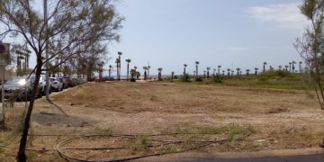 Trabajos de desbroce en El Arenal, Burriana