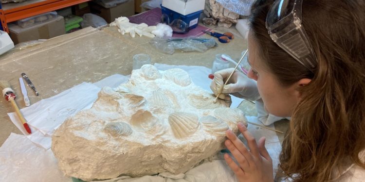 El MUPE, 11 años formando a futuros paleontólogos y paleontólogas