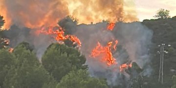 Incendio forestal en Gandia. Foto: Ajuntament de Gandia