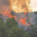 Incendio forestal en Gandia. Foto: Ajuntament de Gandia