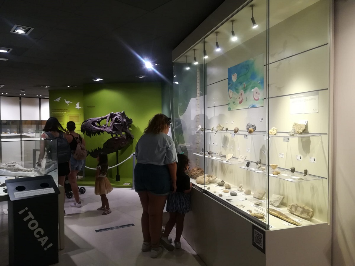 Museo Paleontológico de Elche (MUPE)