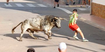 bous al carrer Puçol