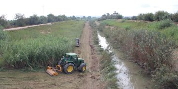 Mantenimiento y limpieza del río Segura