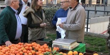 Mercat de la Taronja