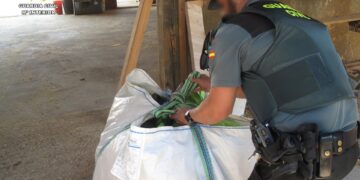 Un agente de la Guardia Civil inspecciona una saca