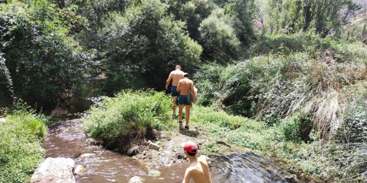 El PRoyecto Emys no ha encontrado ninguna tortuga en el río Palancia a su paso por Begís