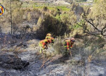 Brigadas forestales trabajando en el incendio de Montitxelvo