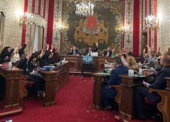 El pleno de Alicante exige al Gobierno la tramitación urgente de la variante de Torrellano