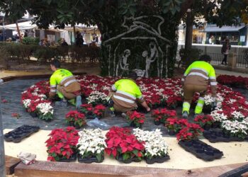 Alicante se viste de Navidad