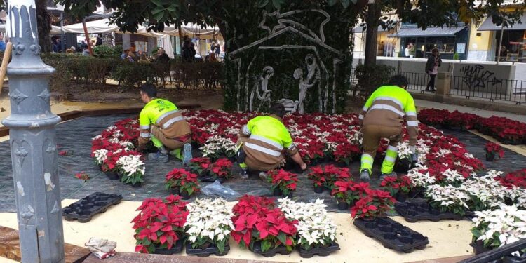 Alicante se viste de Navidad