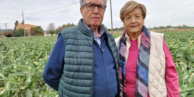 José Antonio Marzá Roca i Maria Caldés Foix rebràn l'homenatge en la Festa de la Carxofa