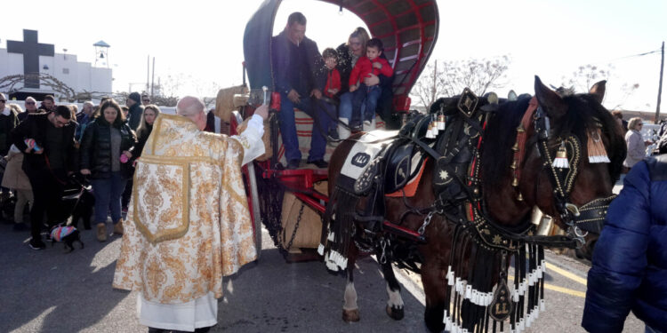 La bendición de animales de Sant Antoni en Burriana