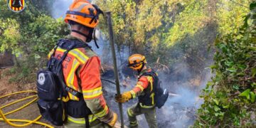 incendi forestal de Alzira