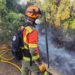 incendio forestal de Alzira