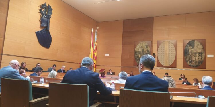 pleno diputación enero 2024