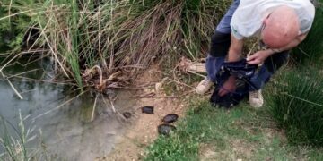 Projecte Emys al riu Magre en Catadau i Arfarb