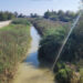 Curso bajo del río Segura en la comarca de la Vega Baja