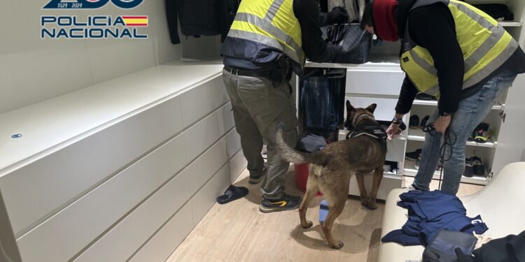 Registro de una vivienda por parte de la Policía Nacional