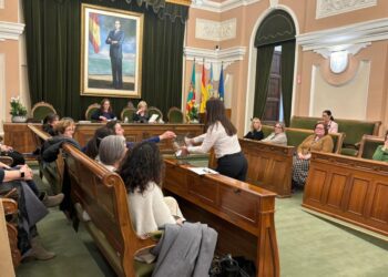 Consejo Municipal de Igualdad de Castellón