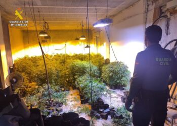 Plantación de marihuana en una vivienda de Altea