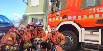 Los bomberos del Consorcio posan con el perro rescatado
