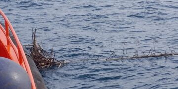 Un tronco de 5 metros a la deriva en aguas de Xàbia