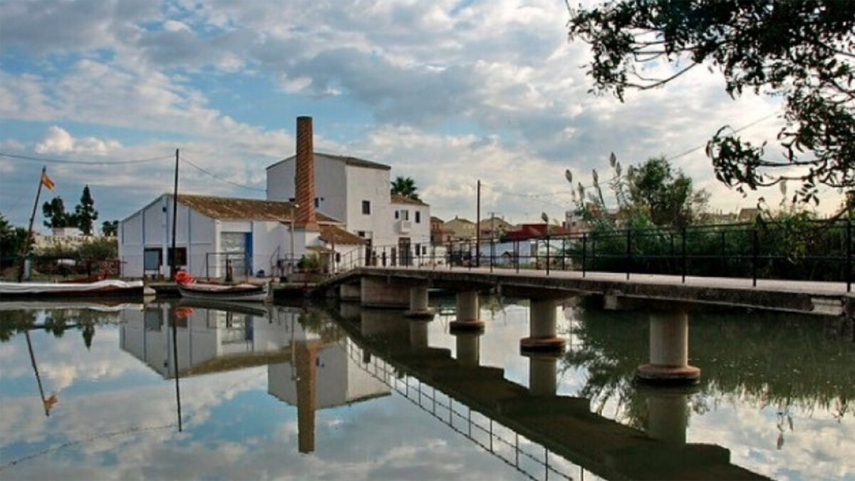 Trilladora Tocaio Palmar