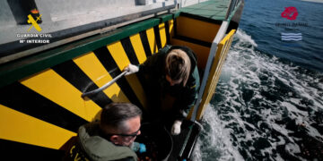 Suelta de los equinodermos (pepinos de mar)