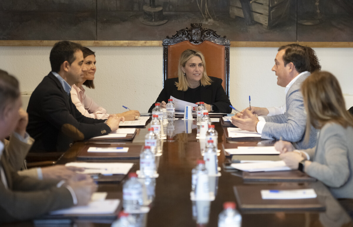 Junta de Gobierno de la Diputación de Castellón