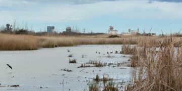 Inauguración del observatorio de aves del Marjal dels Moros