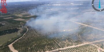Incendi de canyar a Alzira