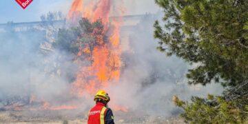 Incendio de vegetación frente al Palacio de Deportes de Benidorm