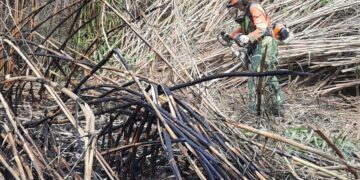 Incendio forestal de Riba-roja extinguido