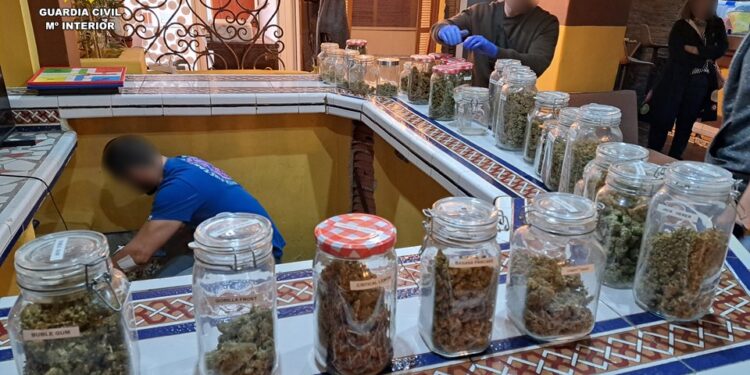 Asociación de cannabis en Torrevieja