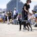 19 Mayo 2024 - 24º Desfile de perros AUPA - Fundación Bioparc