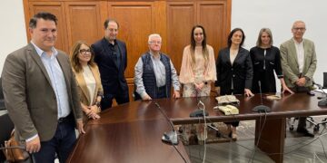 Elección artista falla municipal 2025