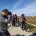 Observación de aves en la Albufera