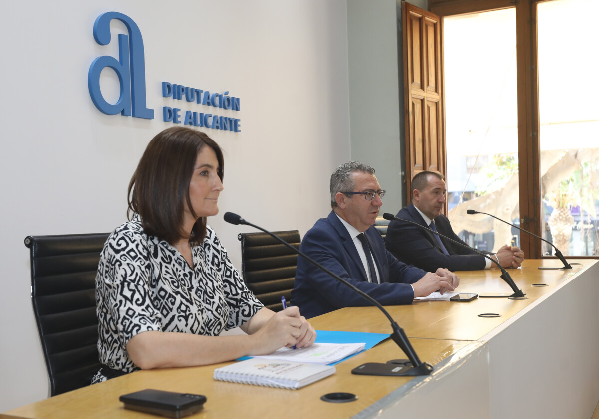Plan +Cerca de la Diputación de Alicante