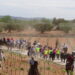Recreación de la trashumancia en Utiel