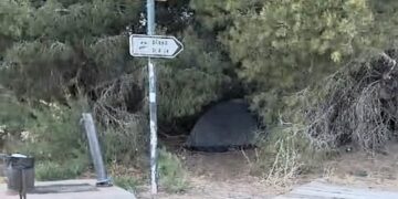 Acampadas ilegales en la Devesa del Saler