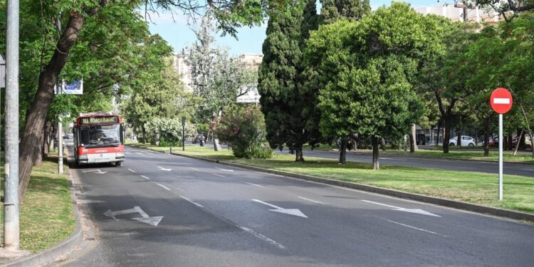 La avenida Blasco Ibáñez tendrá un carril bus separado para el transporte público