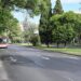 La avenida Blasco Ibáñez tendrá un carril bus separado para el transporte público