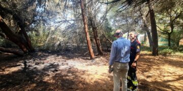 Gosálbez se interesa por los daños del incendio en la Devesa el viernes