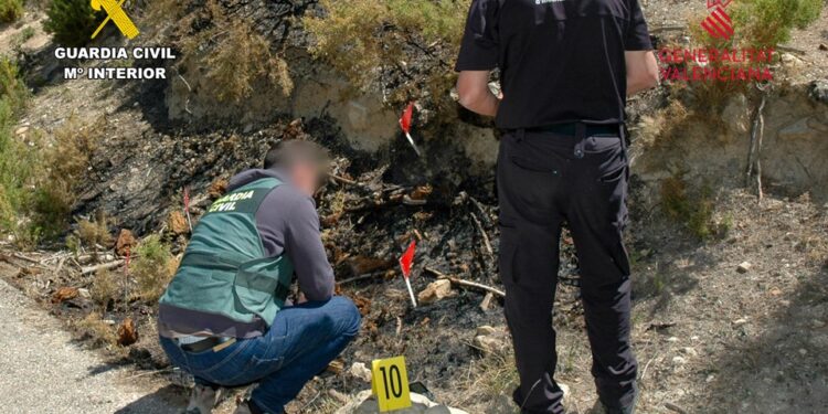 Investigado el autor del incendio forestal de Sierra de la Carrasqueta